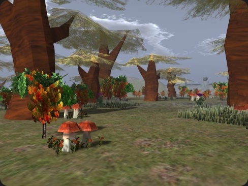 mushroom_forrest_002